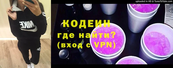 молекула духа Арсеньев