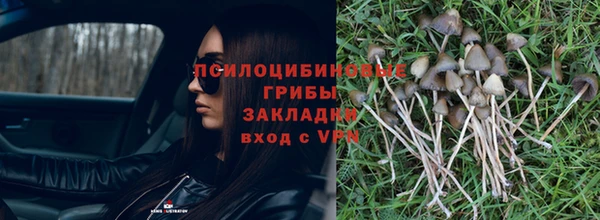 молекула духа Арсеньев