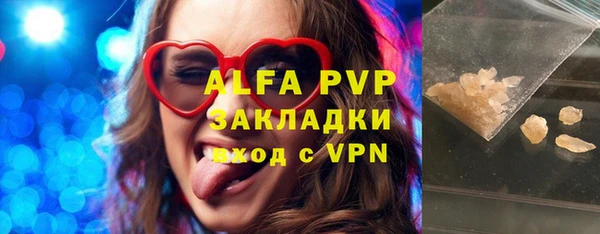 молекула духа Арсеньев